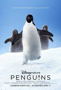 Poster Penguins