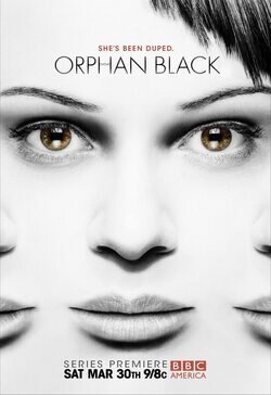 Poster Orphan Black