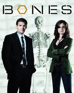 Poster Bones
