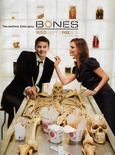 Poster of Bones - Temporada 4