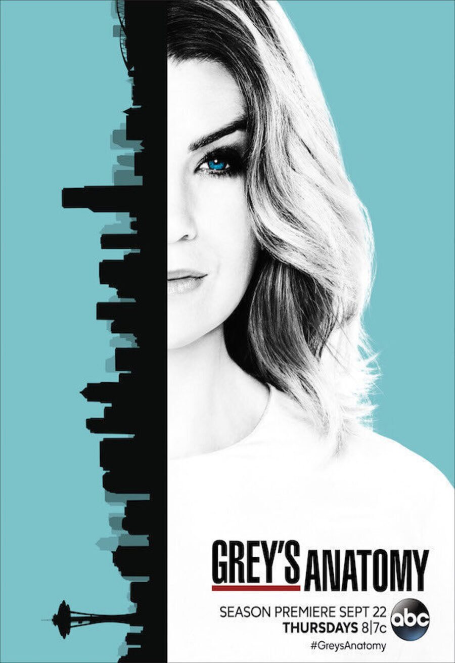 Poster of Grey's Anatomy - Temporada 13