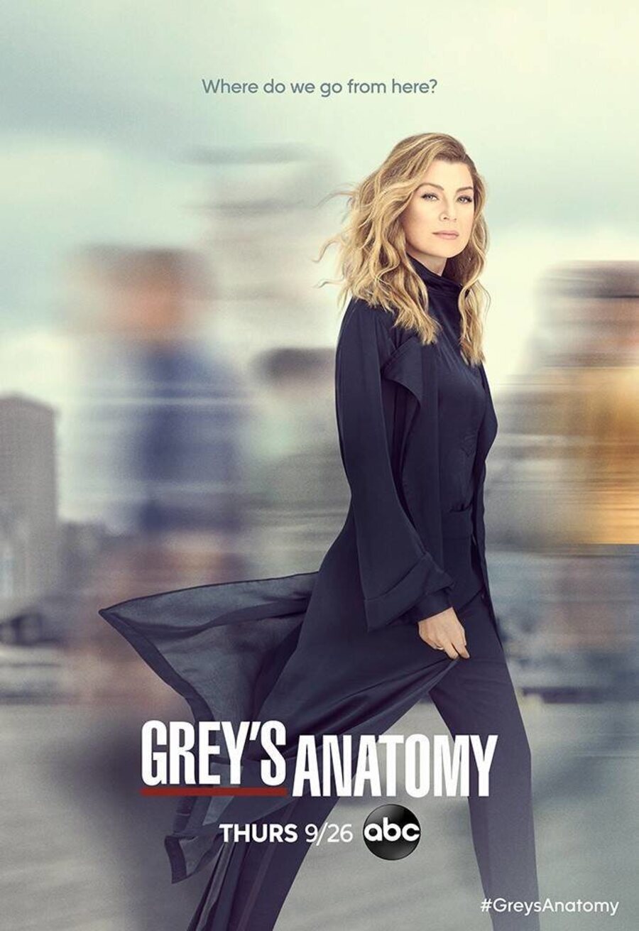 Poster of Grey's Anatomy - Temporada 16