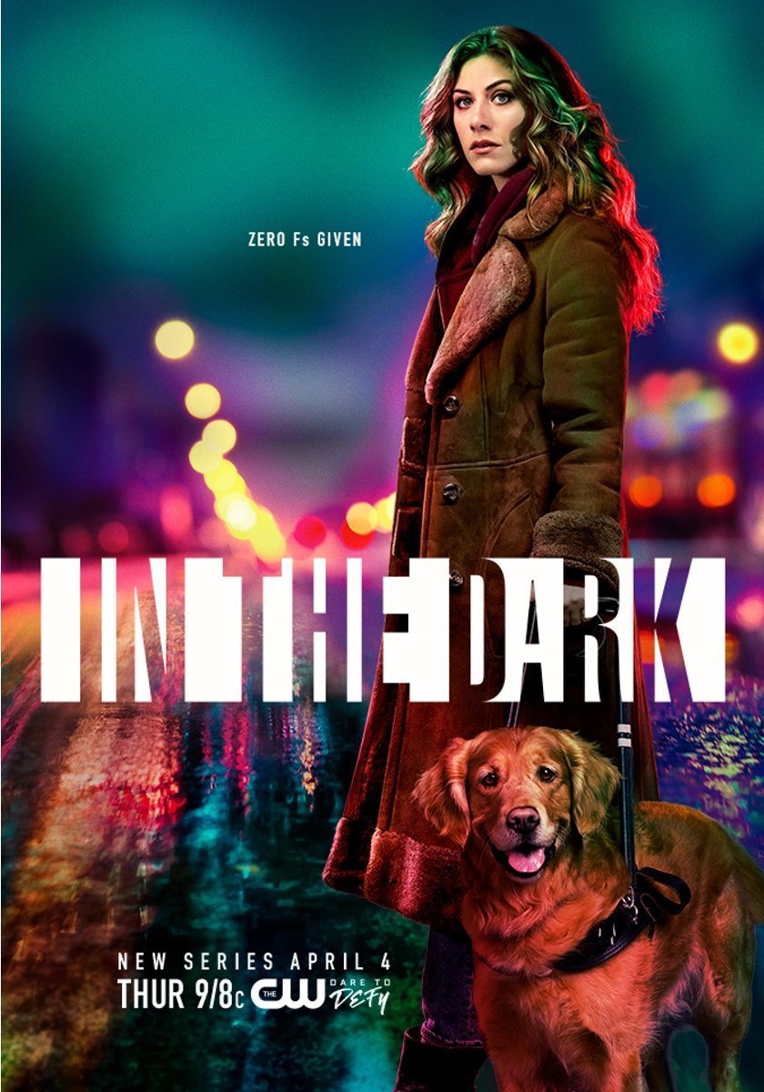 Poster of In the Dark - 