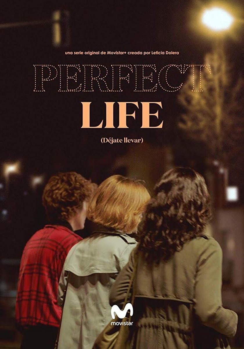 Poster of Perfect Life - Primer póster