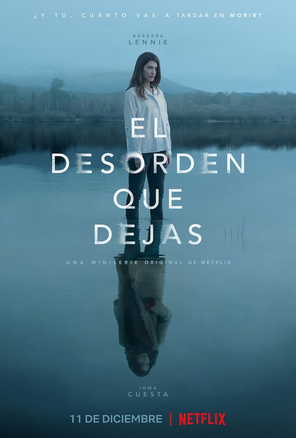 Poster of El desorden que dejas - España