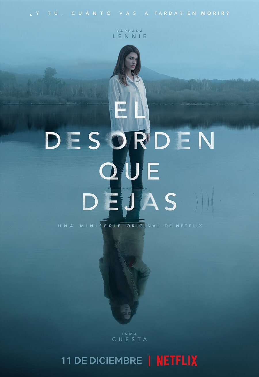 Poster of El desorden que dejas - España