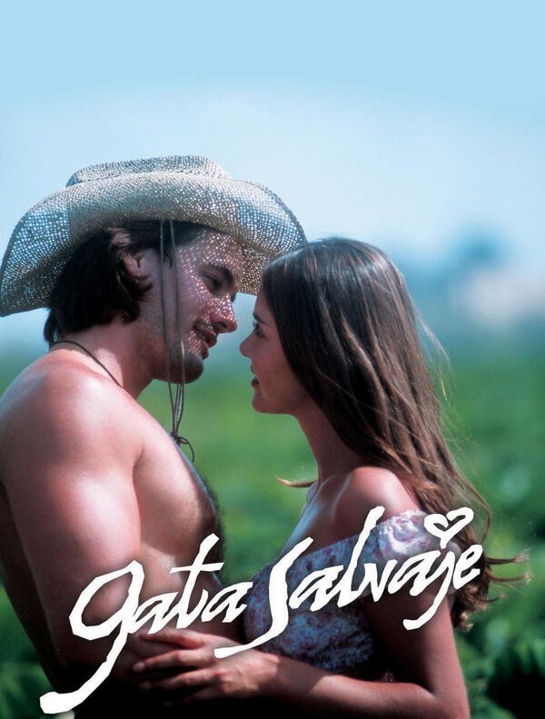 Poster of Gata salvaje - Cartel