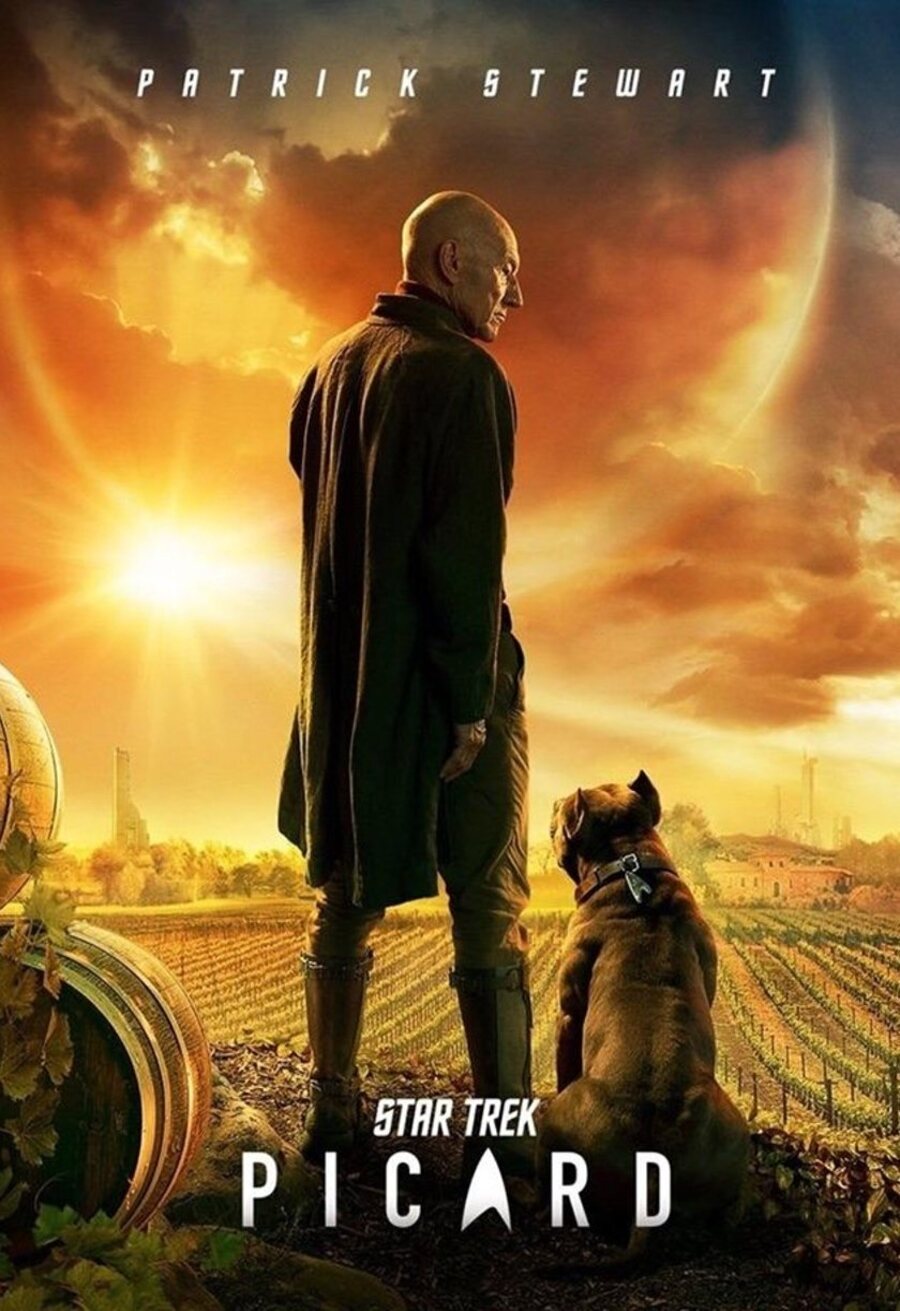 Poster of Star Trek: Picard - Temporada 1