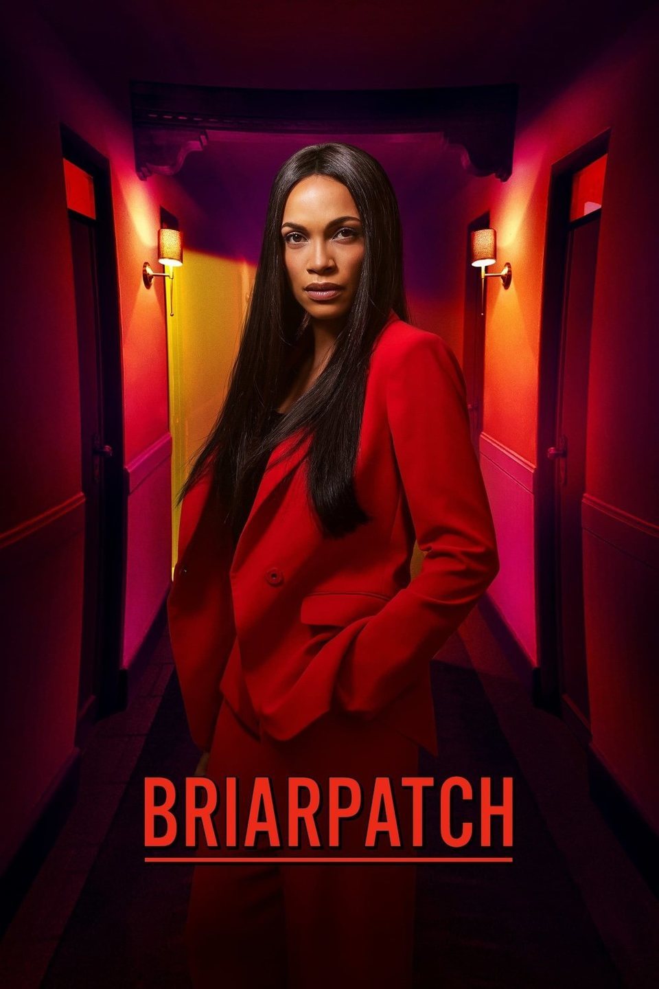 Poster of Briarpatch - Temporada 1