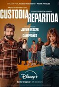 Shared Custody