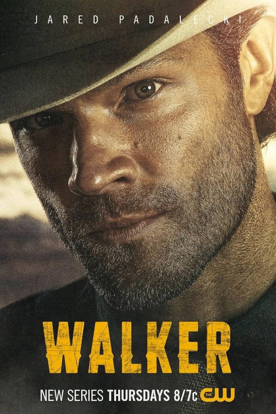 Poster of Walker - Estados Unidos