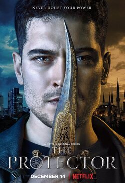 Poster The Protector