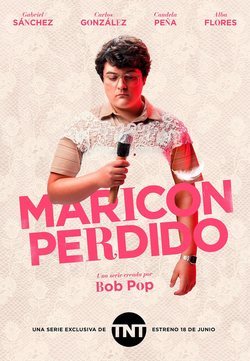 Poster Maricón perdido