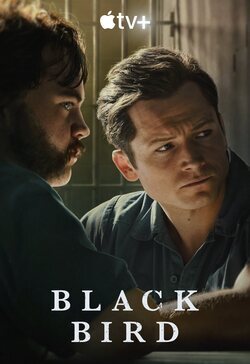 Poster Black Bird