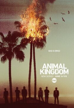 Poster Animal Kingdom