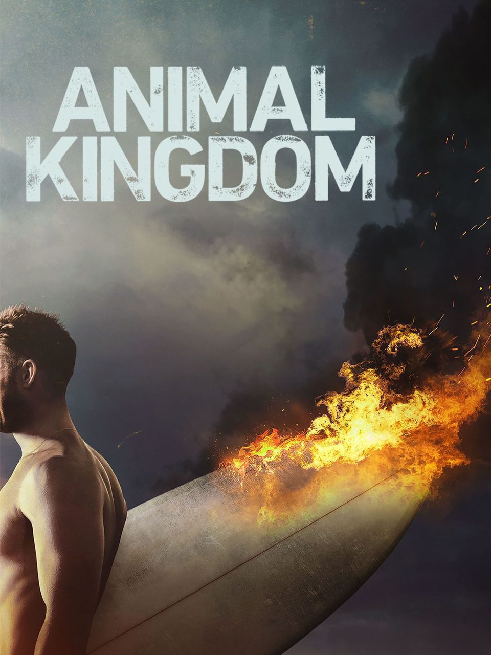 Poster of Animal Kingdom - Temporada 2