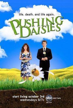 Poster Pushing Daisies