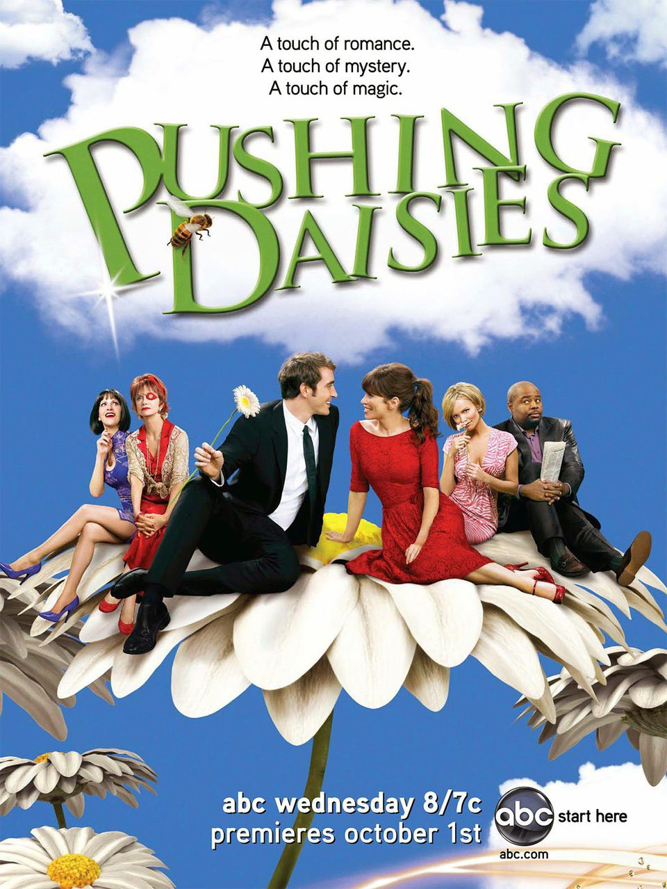 Poster of Pushing Daisies - Temporada 2