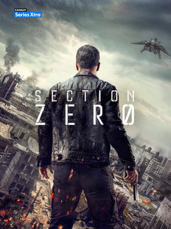 Poster Section Zero