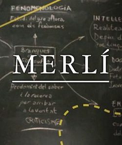 Poster Merlí