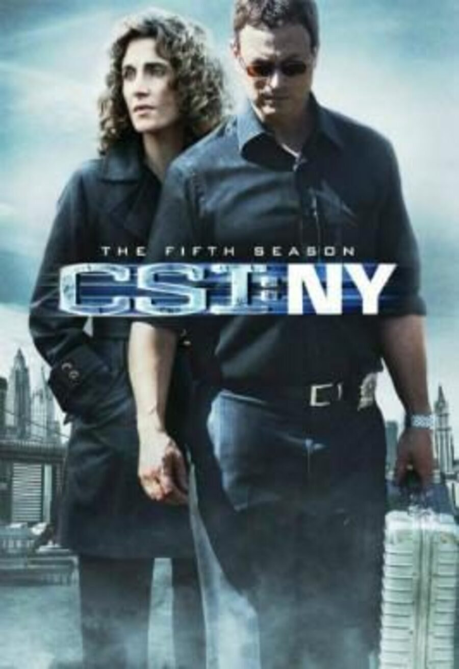 Poster of CSI: NY - Temporada 5