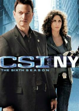 Poster of CSI: NY - Temporada 6
