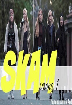 Poster Skam