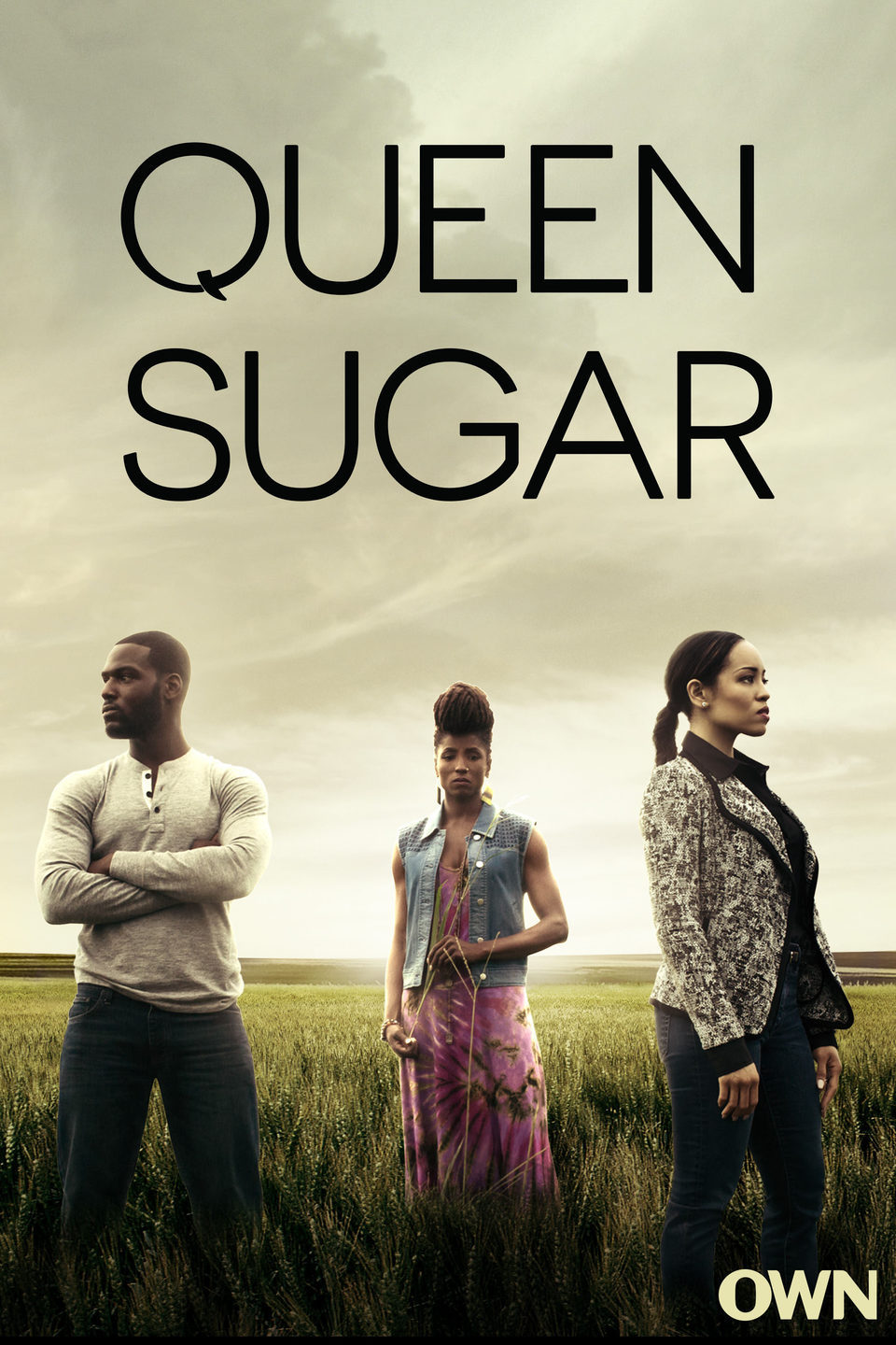 Poster of Queen Sugar - Temporada 1