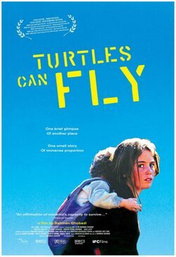 Poster Turtles Can Fly