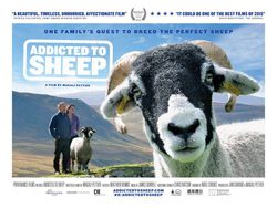 Poster Addicted to sheep