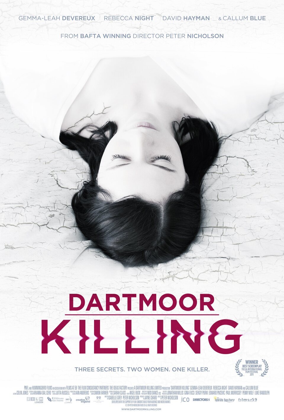 Poster of Dartmoor Killing - Reino Unido