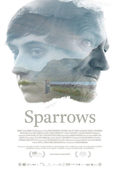 Poster Sparrows