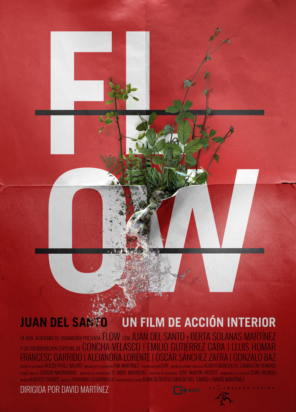 Poster of Flow - España