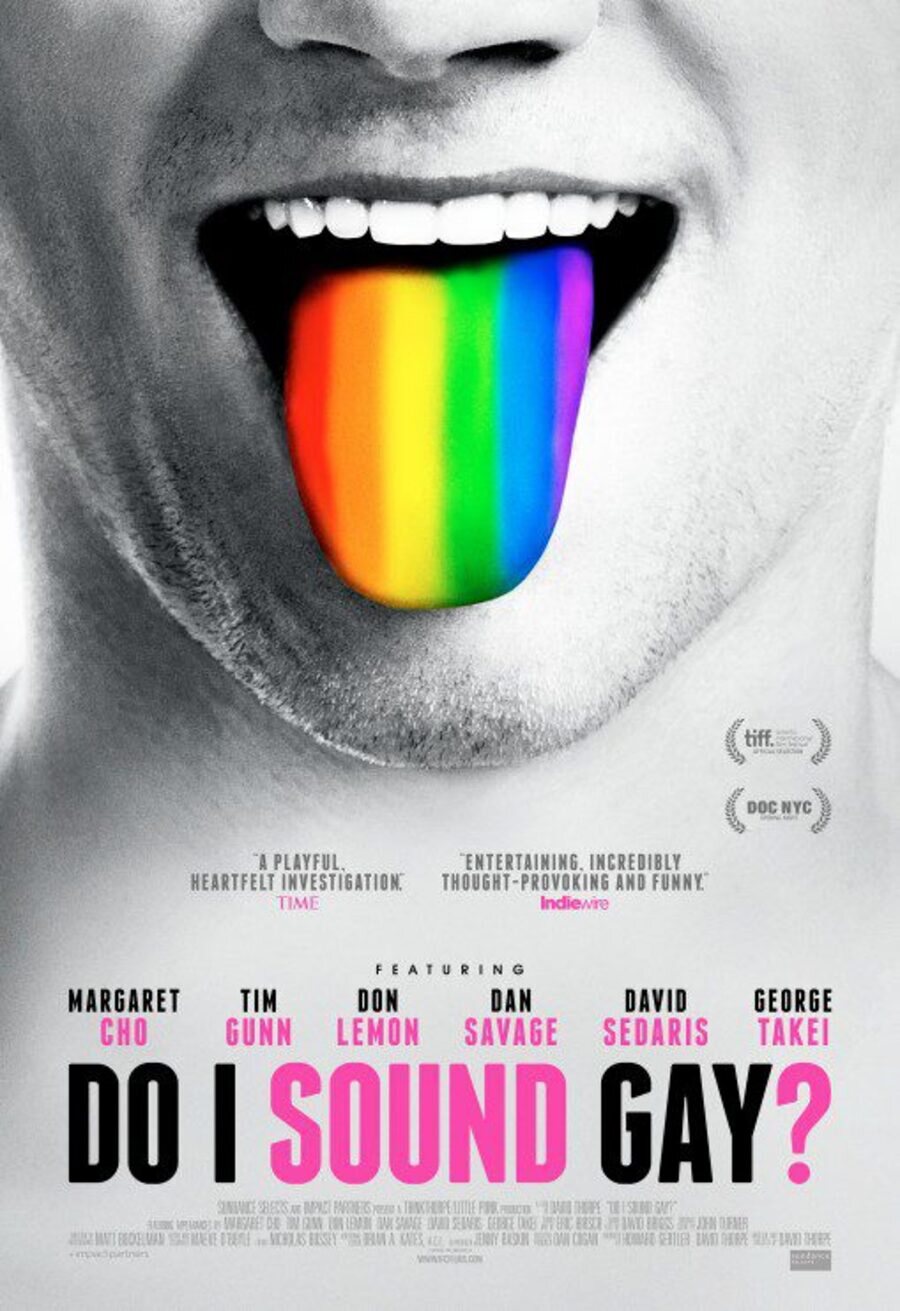 Poster of Do I Sound Gay? - Do I Sound Gay?