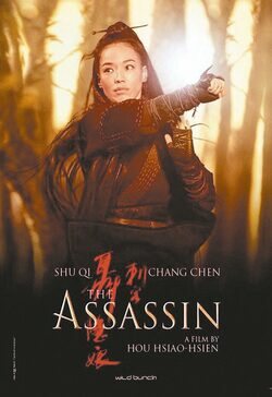 Poster The Assassin