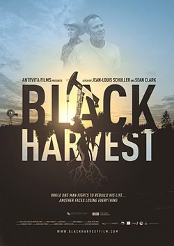 Poster Black Harvest