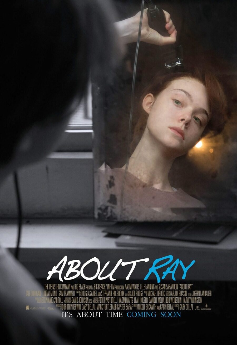 Poster of About Ray - EE.UU # 2