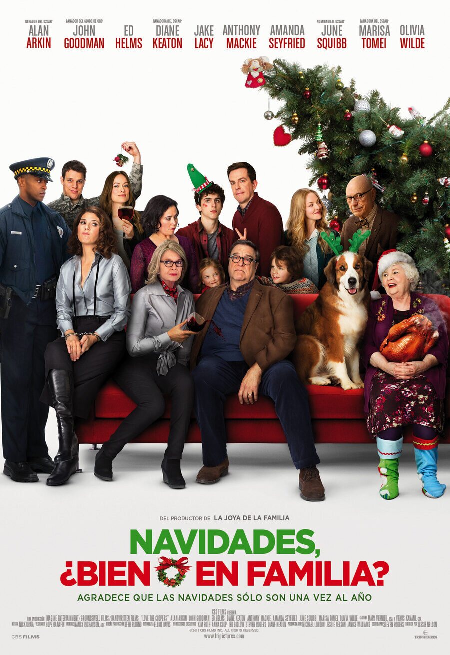 Poster of Christmas with the Coopers - España