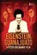 Eisenstein in Guanajuato