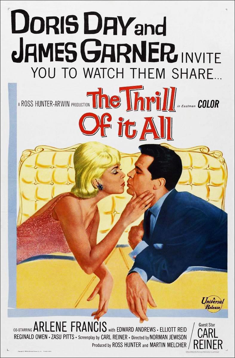 Poster of The Thrill of It All - EE.UU