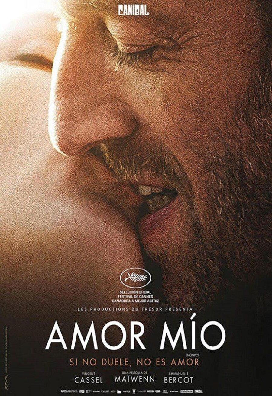 Poster of Mon Roi - México