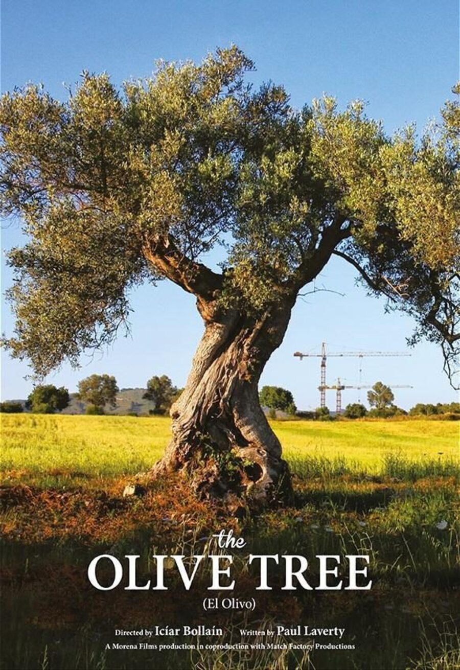 Poster of The Olive Tree - España
