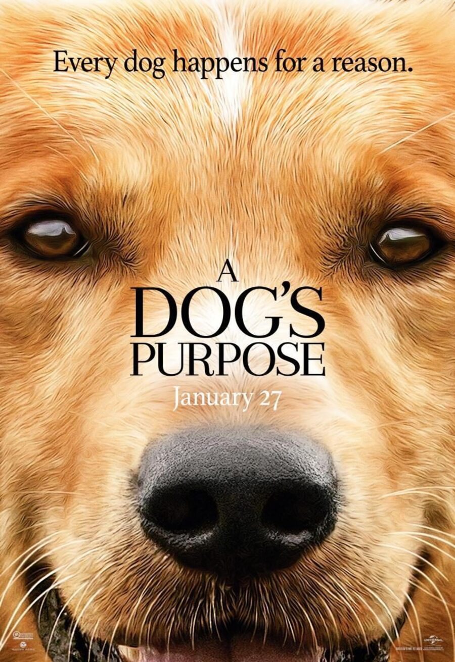 Poster of A Dog's Purpose - Internacional