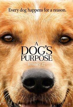 Poster A Dog's Purpose