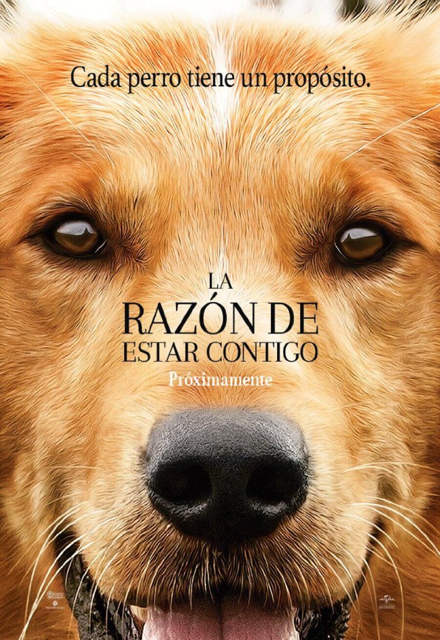 Poster of A Dog's Purpose - España