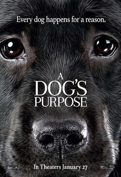 A Dog's Purpose