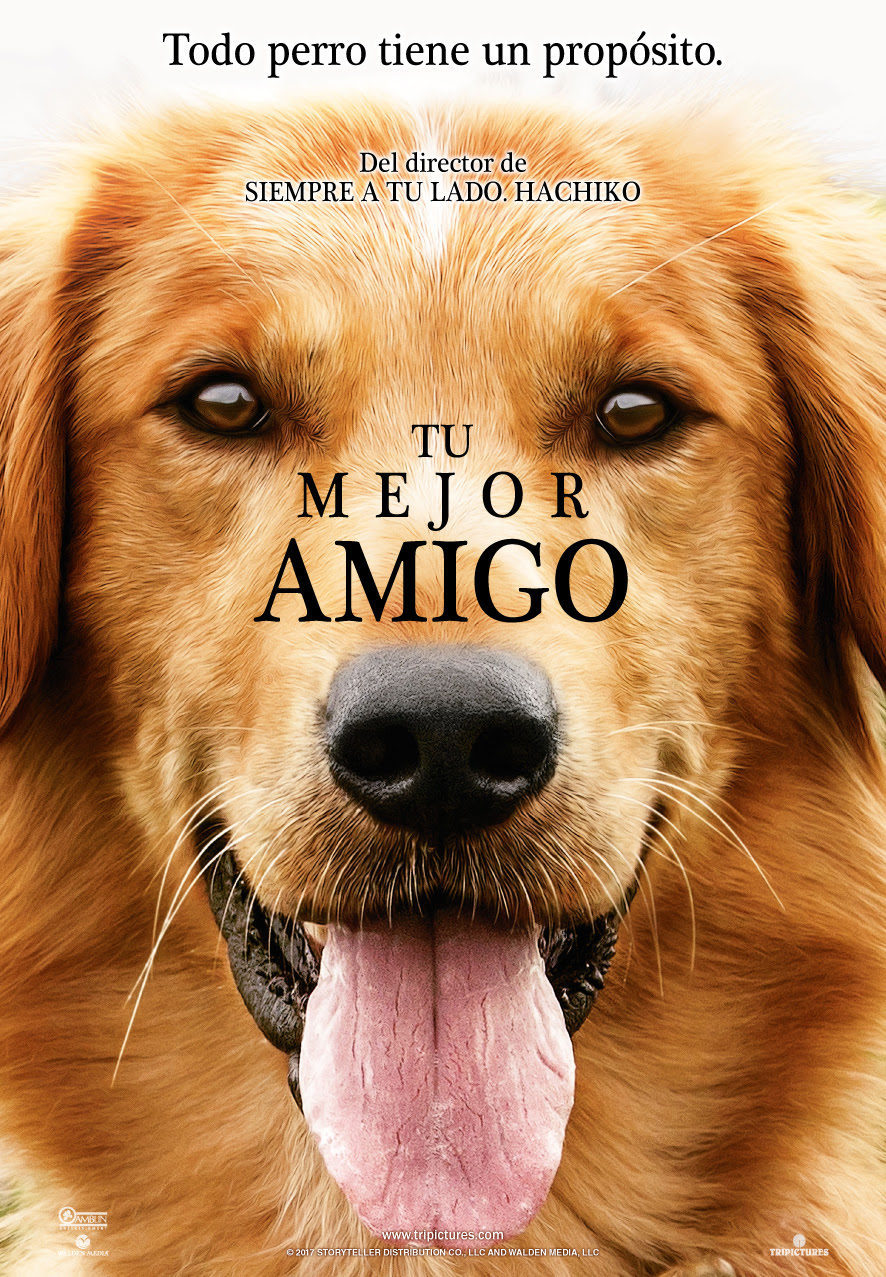 Poster of A Dog's Purpose - España