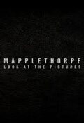 Poster Mapplethorpe: Look at the pictures