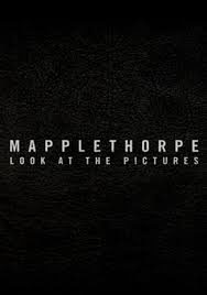Poster Mapplethorpe: Look at the pictures