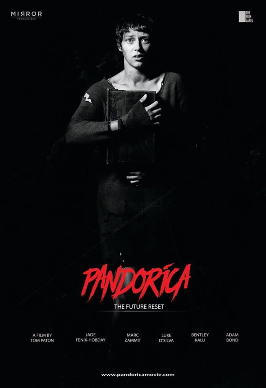 Poster of Pandorica - Flinn